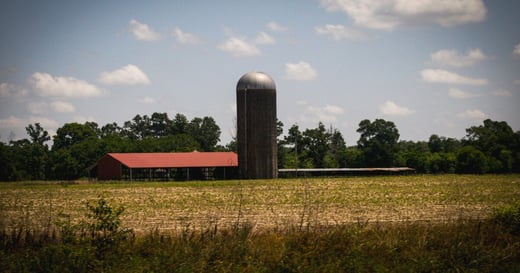 Marché agroalimentaire aux USA : Opportunités pour 2025